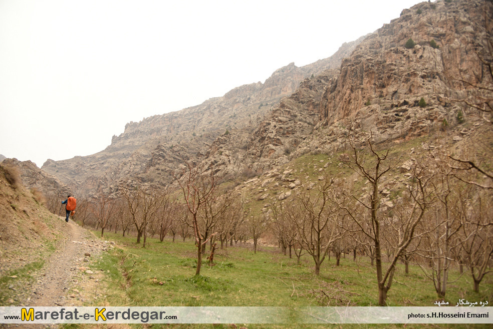 دیدنی های روستای امرودک